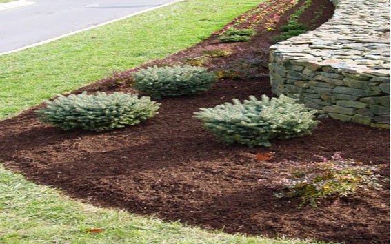 Mulches and Playground Woodchips