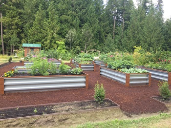Galvanized Planter Boxes