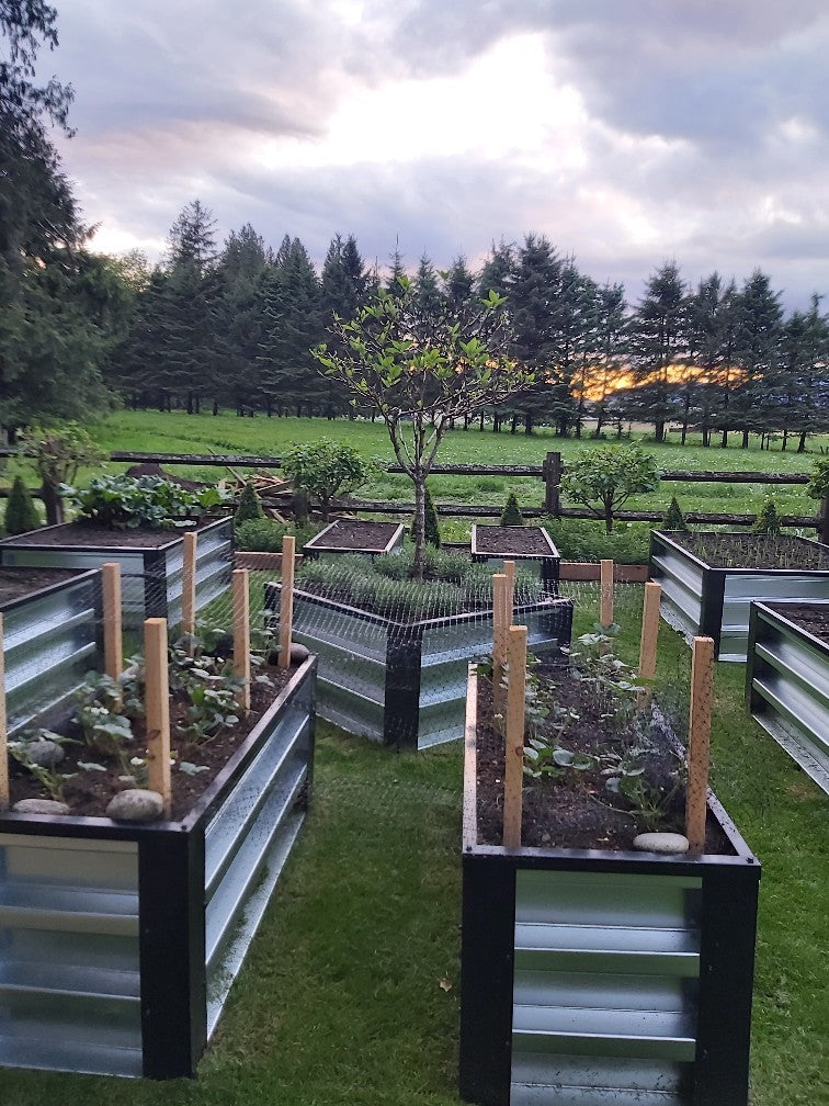 Galvanized Planter Boxes