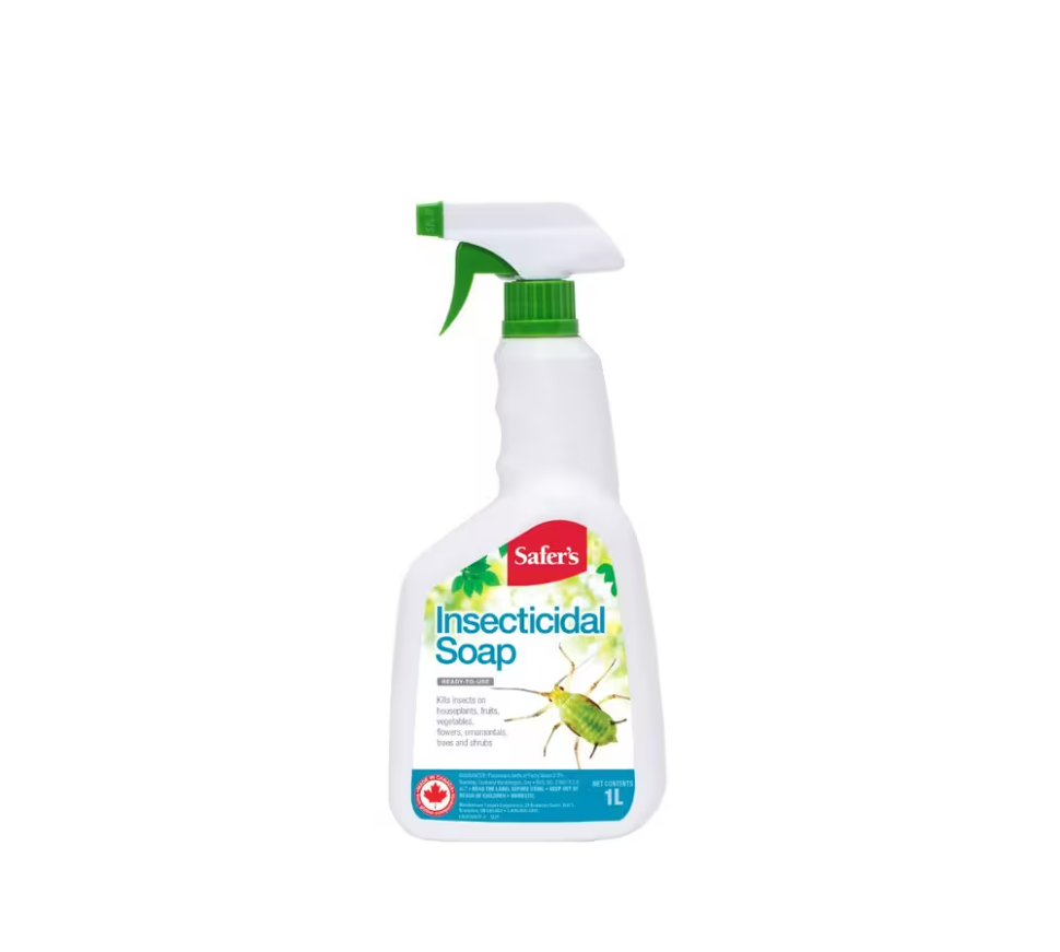 SAFER'S Insecticidal Soap