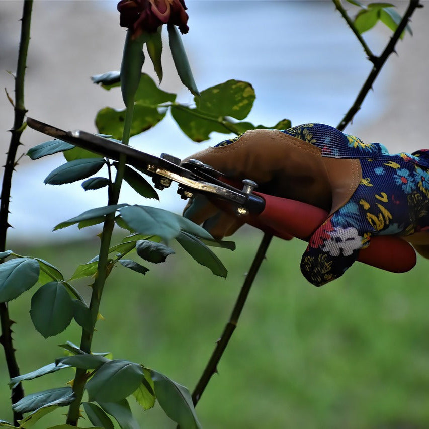 Hand tools