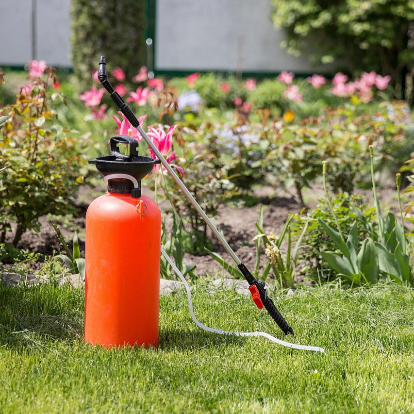 Insecticides