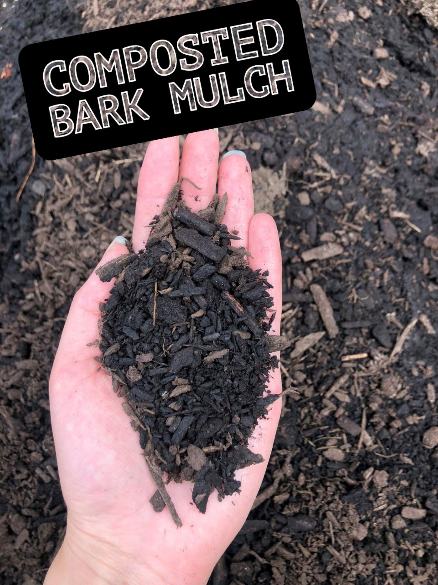 Composted Bark Mulch in hand 