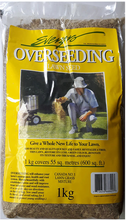 EVERGRO Overseeding Grass Seed