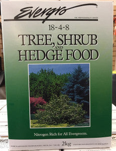 EVERGRO Tree, Shrub and Hedge Food Fertilizer 2Kg