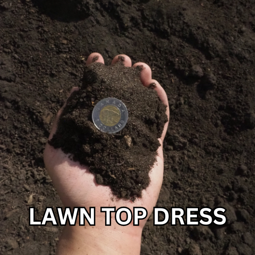 Lawn Top Dress