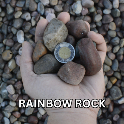 Rainbow River Rock 1" - 1.5"