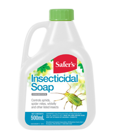 SAFER'S  Insecticidal Soap
