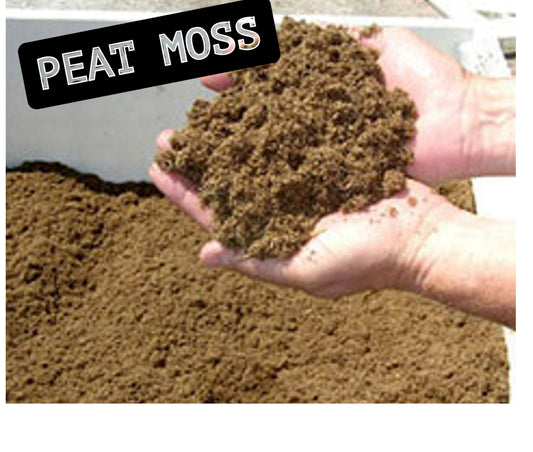 Peat Moss